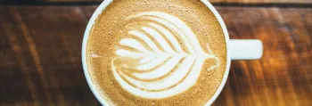 The Best Coffee Shops in Santa Barbara