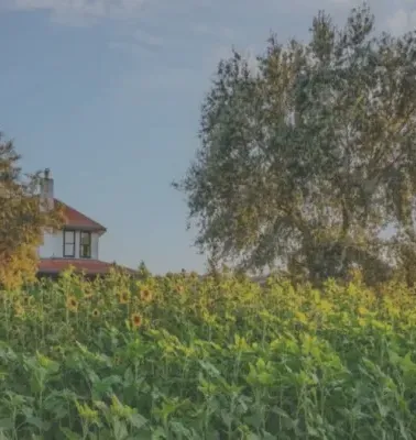 santa ynez 1