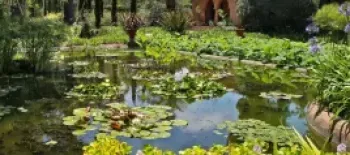 LotusLand: Santa Barbara’s Best Botanical Garden