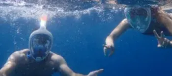 Snorkeling in Santa Barbara