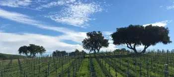 Stagecoach Co. Wine Tours