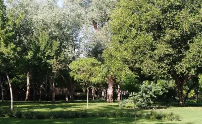 Parma Park Santa Barbara