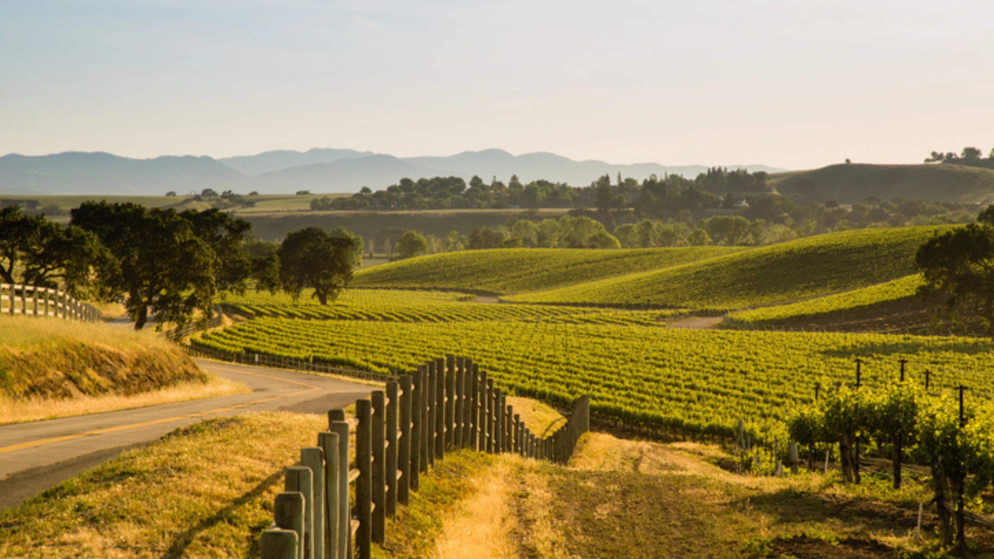 Santa Ynez wine country